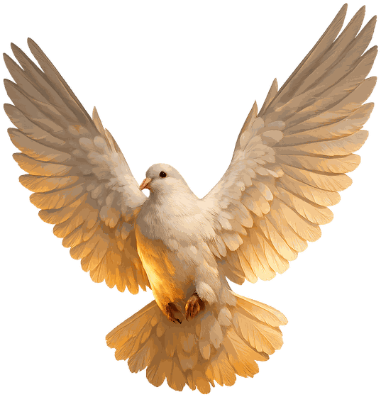 A white dove rising